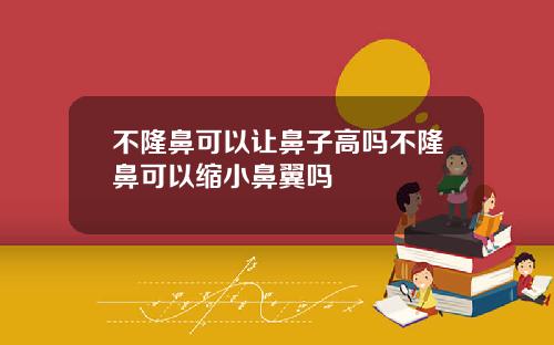 不隆鼻可以让鼻子高吗不隆鼻可以缩小鼻翼吗