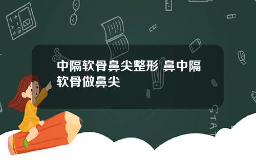 中隔软骨鼻尖整形 鼻中隔软骨做鼻尖