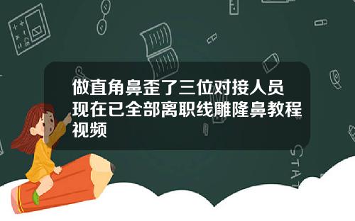 做直角鼻歪了三位对接人员现在已全部离职线雕隆鼻教程视频