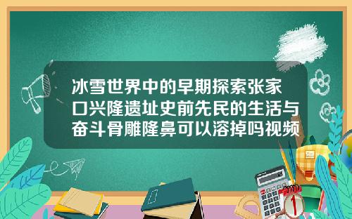 冰雪世界中的早期探索张家口兴隆遗址史前先民的生活与奋斗骨雕隆鼻可以溶掉吗视频