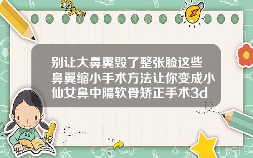 别让大鼻翼毁了整张脸这些鼻翼缩小手术方法让你变成小仙女鼻中隔软骨矫正手术3d