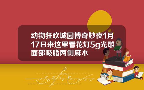 动物狂欢城园博奇妙夜1月17日来这里看花灯5g光雕面部吸脂两侧麻木