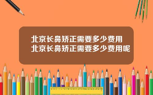 北京长鼻矫正需要多少费用北京长鼻矫正需要多少费用呢