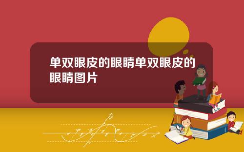 单双眼皮的眼睛单双眼皮的眼睛图片