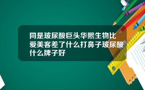 同是玻尿酸巨头华熙生物比爱美客差了什么打鼻子玻尿酸什么牌子好