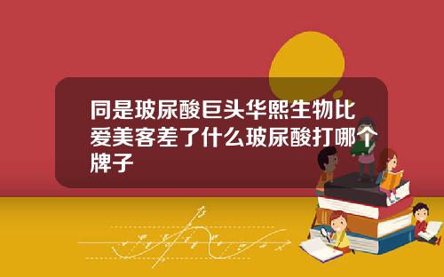 同是玻尿酸巨头华熙生物比爱美客差了什么玻尿酸打哪个牌子