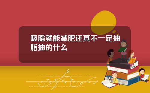 吸脂就能减肥还真不一定抽脂抽的什么