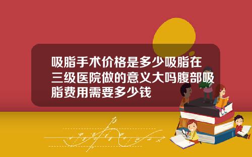 吸脂手术价格是多少吸脂在三级医院做的意义大吗腹部吸脂费用需要多少钱