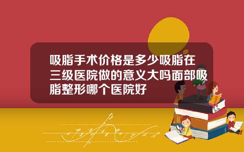 吸脂手术价格是多少吸脂在三级医院做的意义大吗面部吸脂整形哪个医院好