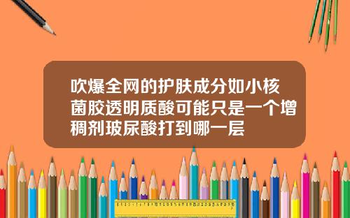 吹爆全网的护肤成分如小核菌胶透明质酸可能只是一个增稠剂玻尿酸打到哪一层