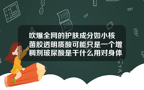 吹爆全网的护肤成分如小核菌胶透明质酸可能只是一个增稠剂玻尿酸是干什么用对身体有害不