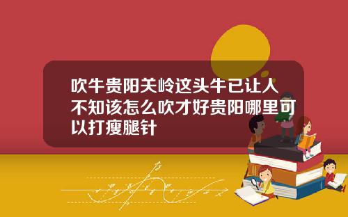 吹牛贵阳关岭这头牛已让人不知该怎么吹才好贵阳哪里可以打瘦腿针