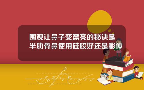 围观让鼻子变漂亮的秘诀是半肋骨鼻使用硅胶好还是膨体