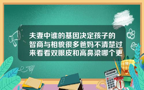 夫妻中谁的基因决定孩子的智商与相貌很多爸妈不清楚过来看看双眼皮和高鼻梁哪个更重要