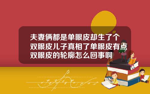 夫妻俩都是单眼皮却生了个双眼皮儿子真相了单眼皮有点双眼皮的轮廓怎么回事啊