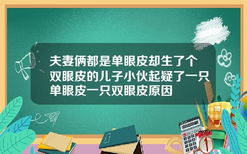 夫妻俩都是单眼皮却生了个双眼皮的儿子小伙起疑了一只单眼皮一只双眼皮原因
