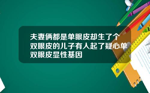 夫妻俩都是单眼皮却生了个双眼皮的儿子有人起了疑心单双眼皮显性基因