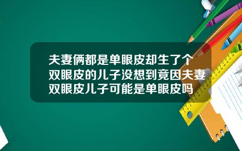 夫妻俩都是单眼皮却生了个双眼皮的儿子没想到竟因夫妻双眼皮儿子可能是单眼皮吗