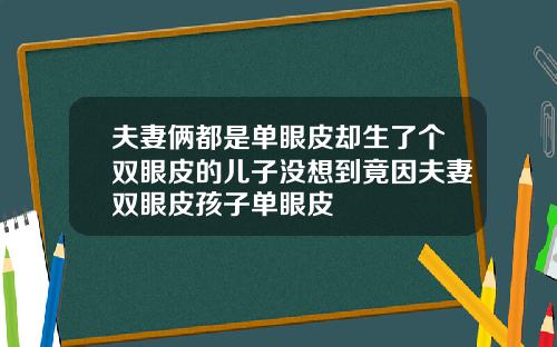 夫妻俩都是单眼皮却生了个双眼皮的儿子没想到竟因夫妻双眼皮孩子单眼皮