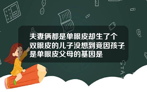 夫妻俩都是单眼皮却生了个双眼皮的儿子没想到竟因孩子是单眼皮父母的基因是