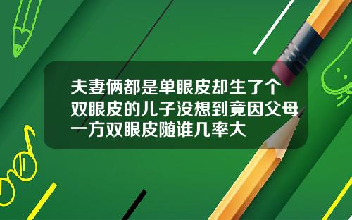 夫妻俩都是单眼皮却生了个双眼皮的儿子没想到竟因父母一方双眼皮随谁几率大