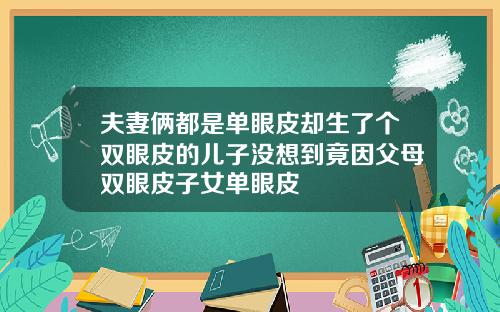 夫妻俩都是单眼皮却生了个双眼皮的儿子没想到竟因父母双眼皮子女单眼皮
