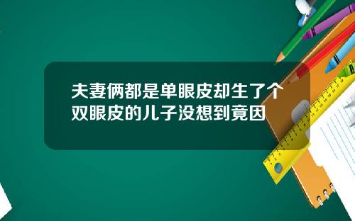 夫妻俩都是单眼皮却生了个双眼皮的儿子没想到竟因