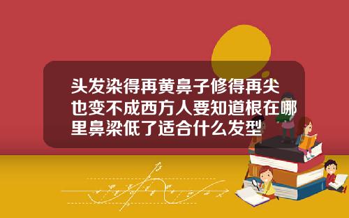 头发染得再黄鼻子修得再尖也变不成西方人要知道根在哪里鼻梁低了适合什么发型