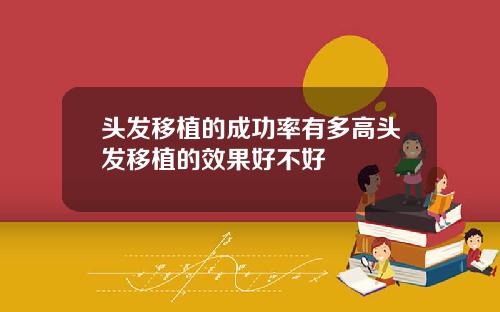 头发移植的成功率有多高头发移植的效果好不好