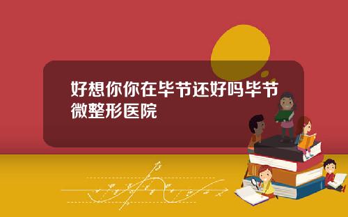 好想你你在毕节还好吗毕节微整形医院