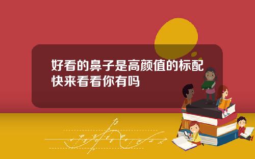 好看的鼻子是高颜值的标配快来看看你有吗