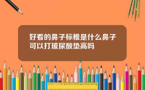 好看的鼻子标椎是什么鼻子可以打玻尿酸垫高吗