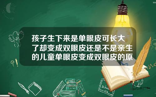孩子生下来是单眼皮可长大了却变成双眼皮还是不是亲生的儿童单眼皮变成双眼皮的原因