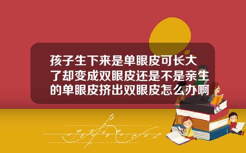 孩子生下来是单眼皮可长大了却变成双眼皮还是不是亲生的单眼皮挤出双眼皮怎么办啊
