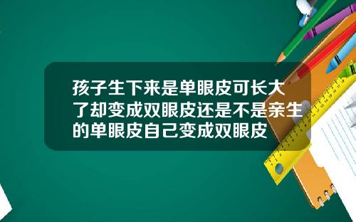 孩子生下来是单眼皮可长大了却变成双眼皮还是不是亲生的单眼皮自己变成双眼皮