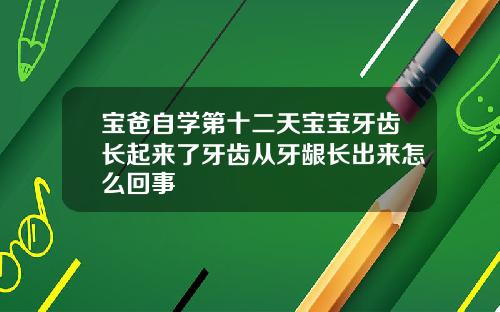 宝爸自学第十二天宝宝牙齿长起来了牙齿从牙龈长出来怎么回事