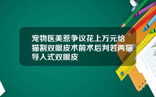 宠物医美惹争议花上万元给猫割双眼皮术前术后判若两猫导入式双眼皮