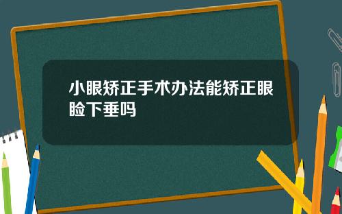 小眼矫正手术办法能矫正眼睑下垂吗