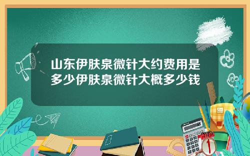 山东伊肤泉微针大约费用是多少伊肤泉微针大概多少钱