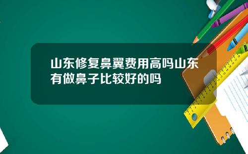 山东修复鼻翼费用高吗山东有做鼻子比较好的吗