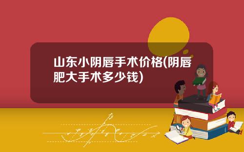 山东小阴唇手术价格(阴唇肥大手术多少钱)