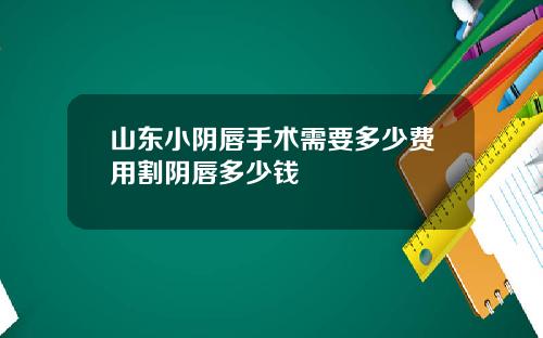山东小阴唇手术需要多少费用割阴唇多少钱