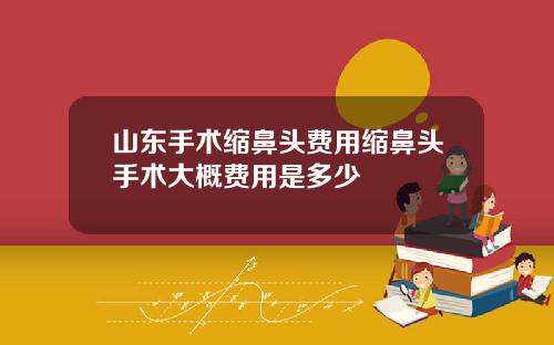 山东手术缩鼻头费用缩鼻头手术大概费用是多少