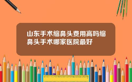 山东手术缩鼻头费用高吗缩鼻头手术哪家医院最好