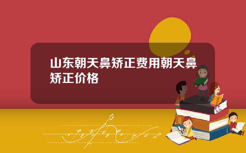 山东朝天鼻矫正费用朝天鼻矫正价格