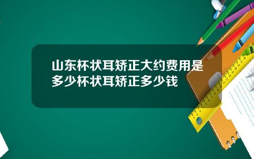 山东杯状耳矫正大约费用是多少杯状耳矫正多少钱