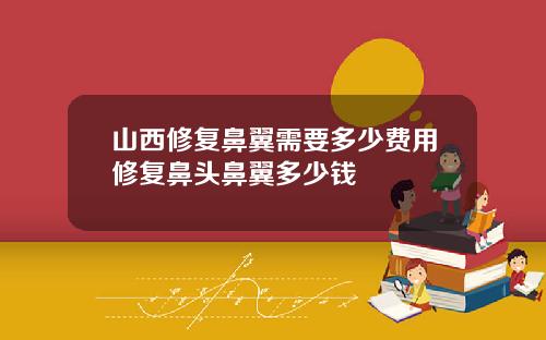 山西修复鼻翼需要多少费用修复鼻头鼻翼多少钱