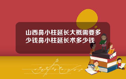 山西鼻小柱延长大概需要多少钱鼻小柱延长术多少钱