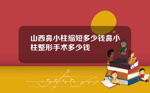 山西鼻小柱缩短多少钱鼻小柱整形手术多少钱
