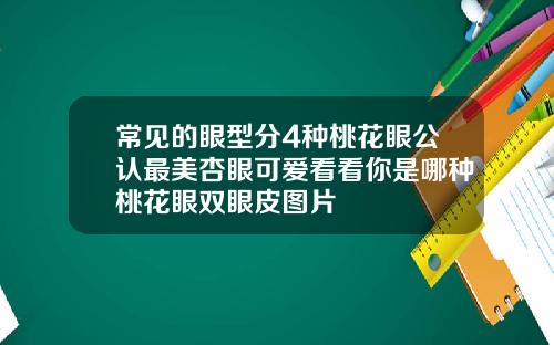 常见的眼型分4种桃花眼公认最美杏眼可爱看看你是哪种桃花眼双眼皮图片